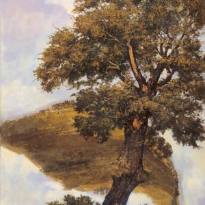 L’Arbre - 1996 - 123x94 cm
